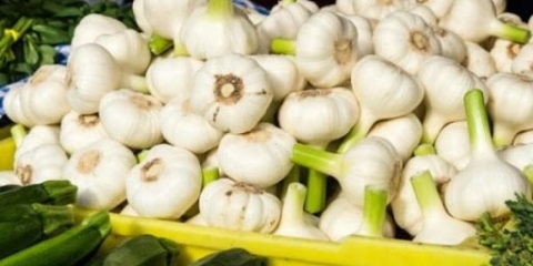 Kako hraniti i prerađivati ​​ozimi beli luk u maju, junu i julu